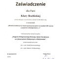 Powiększ obraz: certificate 4
