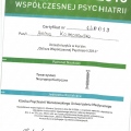 Powiększ obraz: certificate 3