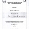 Powiększ obraz: certificate 41