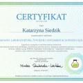 Powiększ obraz: certificate 33