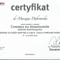 Powiększ obraz: certificate 5