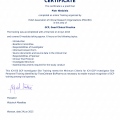 Powiększ obraz: certificate 2