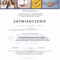 Powiększ obraz: certificate 41