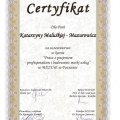 Powiększ obraz: certificate 5