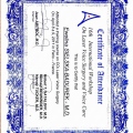 Powiększ obraz: certificate 21