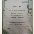 Powiększ obraz: certificate 3