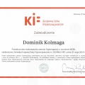 Powiększ obraz: certificate 1