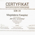 Powiększ obraz: certificate 15