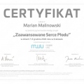 Powiększ obraz: certificate 16