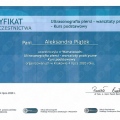 Powiększ obraz: certificate 2