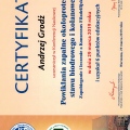 Powiększ obraz: certificate 5