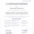 Powiększ obraz: certificate 5