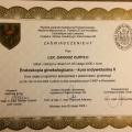 Powiększ obraz: certificate 25