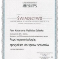 Powiększ obraz: certificate 4