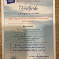 Powiększ obraz: certificate 4