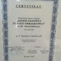Powiększ obraz: certificate 2