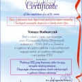 Powiększ obraz: certificate 4