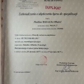 Powiększ obraz: certificate 1