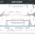 Powiększ obraz: certificate 14