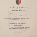 Powiększ obraz: certificate 2
