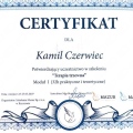Powiększ obraz: certificate 14