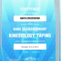 Powiększ obraz: certificate 2