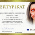 Powiększ obraz: certificate 4