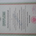 Powiększ obraz: certificate 1