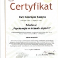 Powiększ obraz: certificate 8
