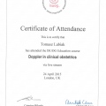 Powiększ obraz: certificate 6