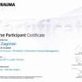 Powiększ obraz: certificate 2