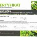 Powiększ obraz: certificate 1