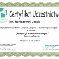 Powiększ obraz: certificate 19