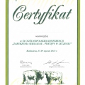 Powiększ obraz: certificate 5