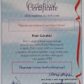 Powiększ obraz: certificate 2