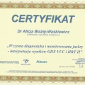 Powiększ obraz: certificate 3