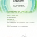 Powiększ obraz: certificate 2