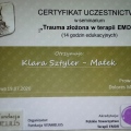 Powiększ obraz: certificate 19