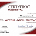 Powiększ obraz: certificate 85
