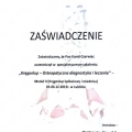 Powiększ obraz: certificate 2