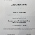 Powiększ obraz: certificate 6