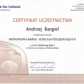 Powiększ obraz: certificate 3