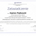 Powiększ obraz: certificate 24