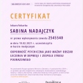 Powiększ obraz: certificate 16