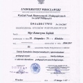 Powiększ obraz: certificate 4