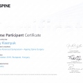 Powiększ obraz: certificate 21