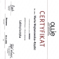 Powiększ obraz: certificate 17