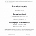 Powiększ obraz: certificate 22