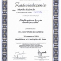 Powiększ obraz: certificate 13