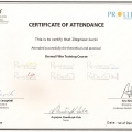 Powiększ obraz: certificate 7